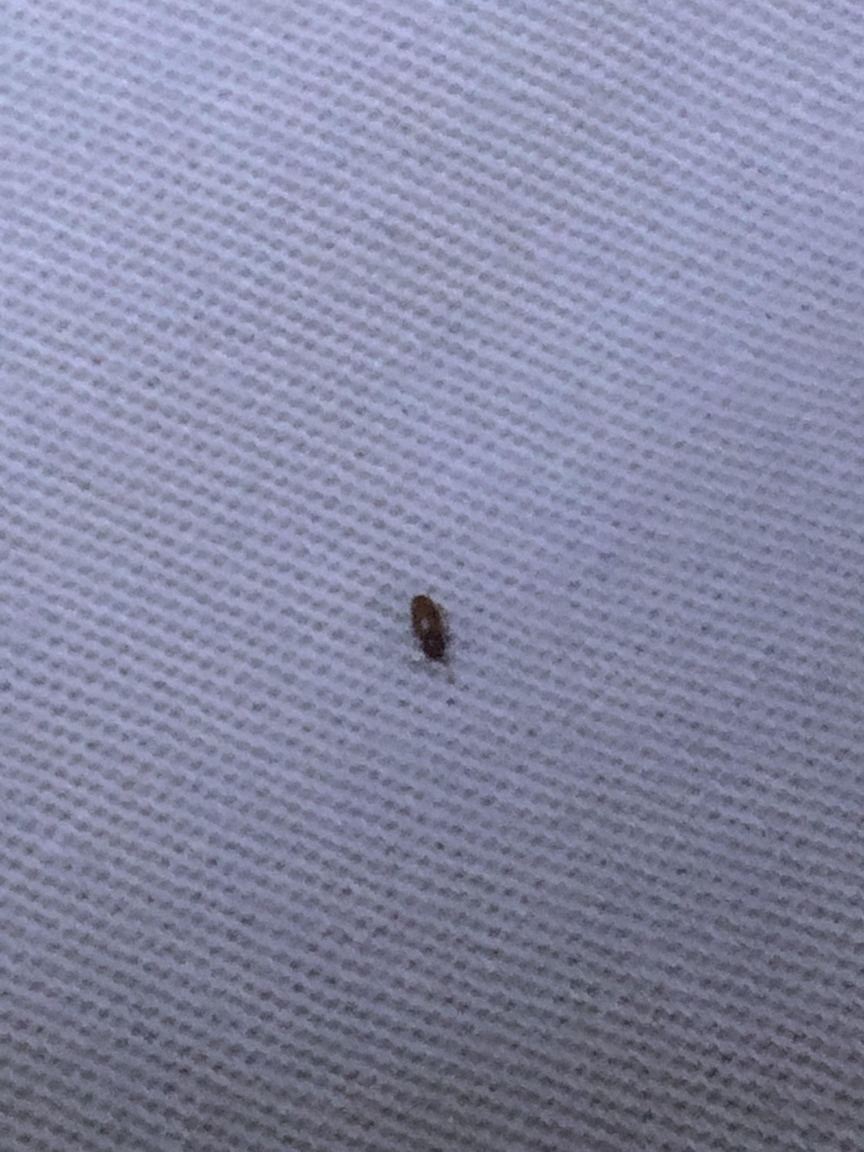 娱乐生活 第64页