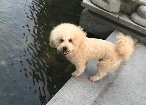 港澳新闻 第48页
