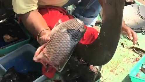 热点生活 第44页