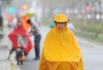 港澳新闻 第31页