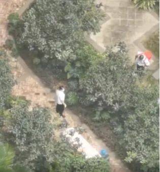 游戏专题 第14页