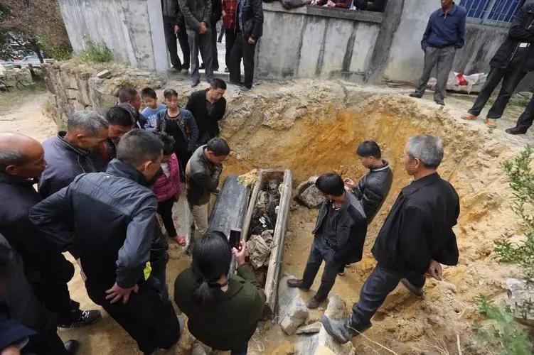 老人未死被要求火化？镇政府道歉老人未死被要求火化事件引发关注，镇政府公开道歉